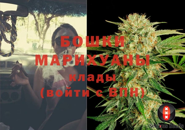 ПСИЛОЦИБИНОВЫЕ ГРИБЫ Новозыбков