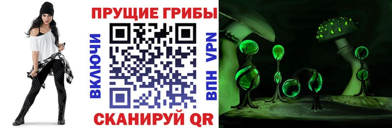 Галлюциногенные грибы прущие грибы Томмот